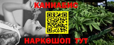 Альфа ПВП Можга