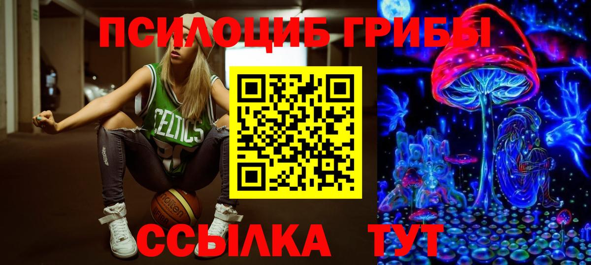 Галлюциногенные грибы Cubensis Уссурийск