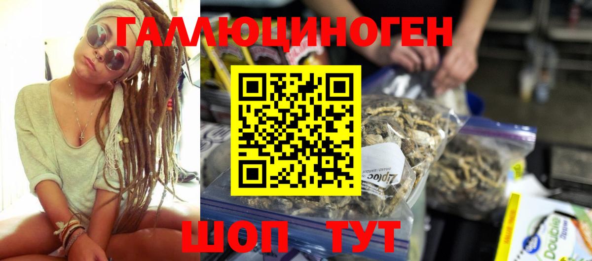 Галлюциногенные грибы Psilocybe  наркотики  Псилоцибиновые грибы мицелий  Уссурийск  Вход с VPN 